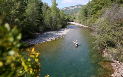 Roaring Fork Valley Water Trails: Where Locals Actually Float and Fish This Summer
